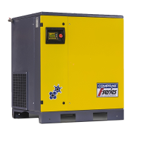 Компрессор винтовой "Comprag" F15/13